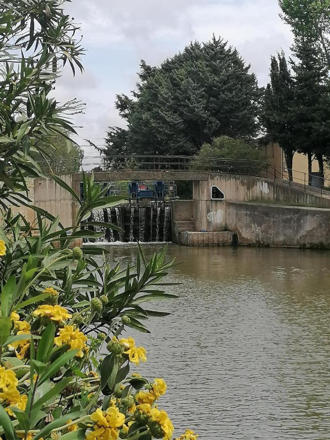 Villa Sainte Marie Narbonne Eksteriør billede
