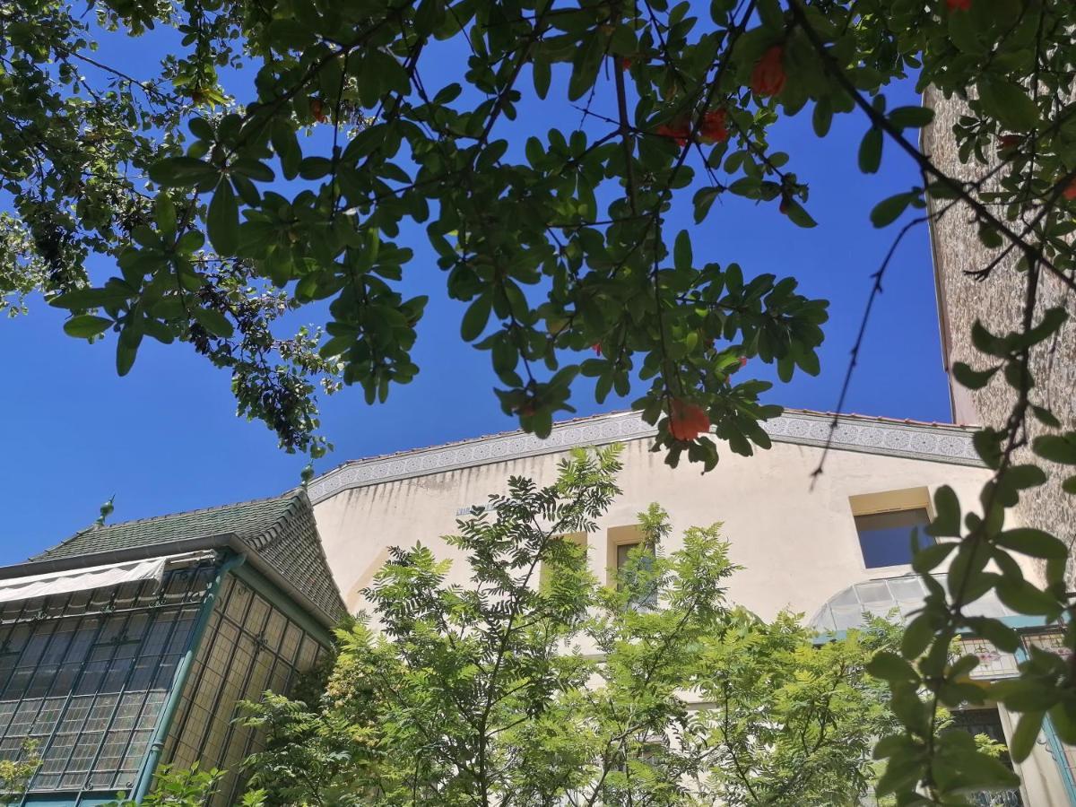 Villa Sainte Marie Narbonne Eksteriør billede